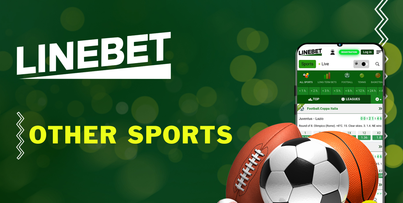 Sports except cricket on which you can bet at LineBet