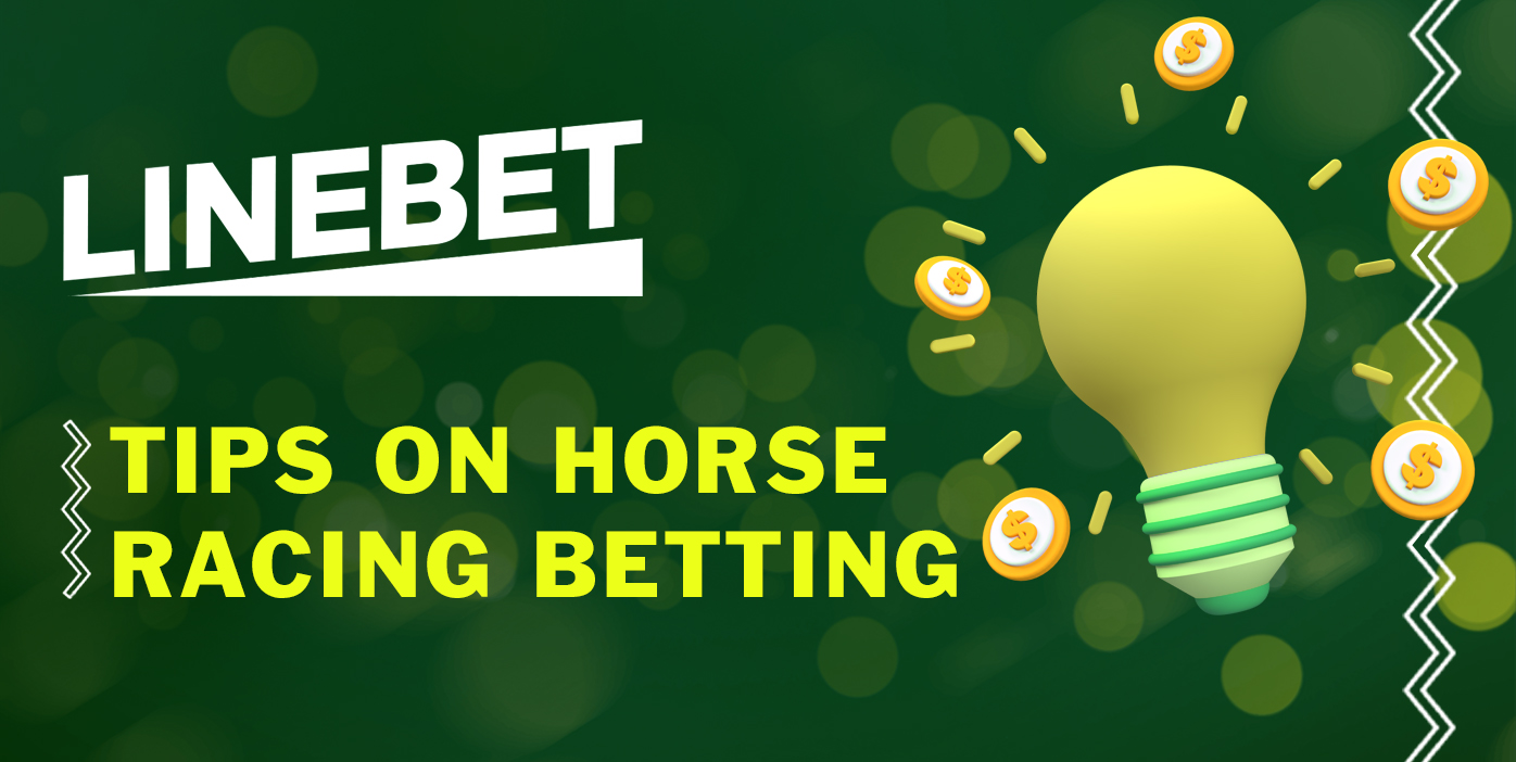 Use the tips to form a successful bet on Horse Racing at LineBet 
