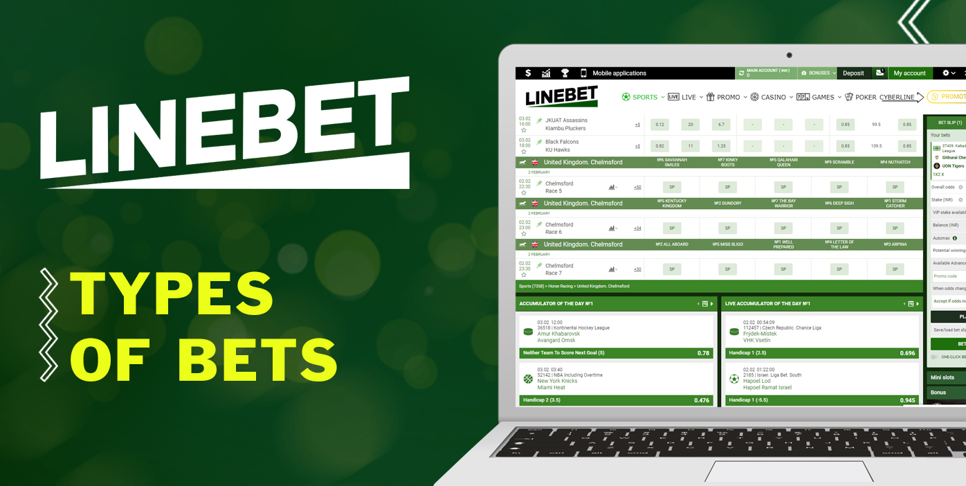 What types of bets users can place on Horse Racing on LineBet 
