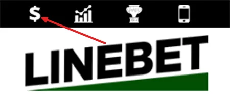 Linebet payment methods